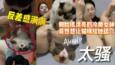 反差十足的冷艳女神竟然打起猫咪主意【完整版看下遍简阶】